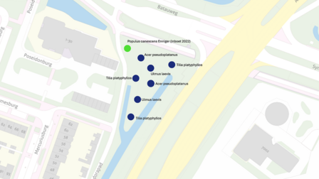 Kaart met stippen op een groen gebied met de tekst: populus canescens Enniger (inboet 2022), Acer pseudoplatanus (2x), Tilia platyphyllos (3x) en ulmus laevis (2x)  