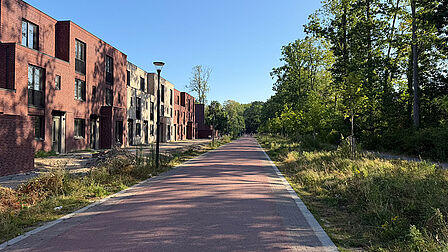 Straat met links nieuwe rijwoningen en rechts bomen