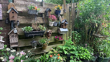Schutting met planten en vogelhuisjes eraan