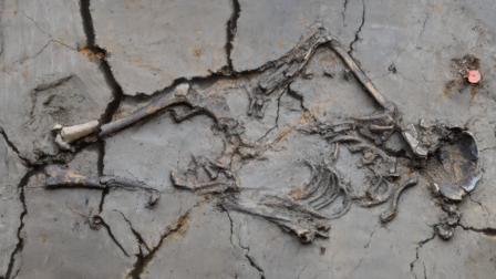 Een skelet van een vrouw met kind van 6000 jaar geleden