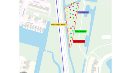 Kaart met roodomrand vak met daarin gekleurde stippen en de namen prunus avium, populus nigra 'italica', pynus sylvestris en alnus glutinosa  