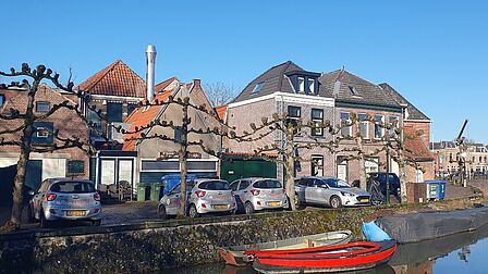 Leibomen langs een kademuur