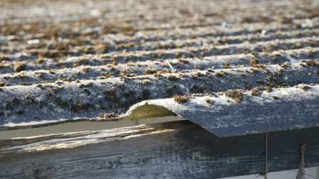 Golfplaten met asbest