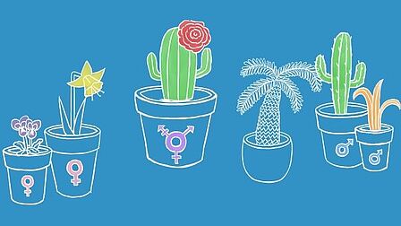 Illustratie van planten in potten