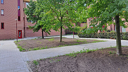 Pas gemaakt plantvakken onder een boom