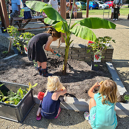 Kinderen zetten plantjes in de grond in de buurttuin