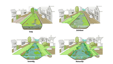 Illustratie van vier watergangen, met niveau laag (veel kroos en harde oevers), zichtbaar (weinig kroos en een groene oever), levendig (veel waterplanten, vogels en twee groene oevers) en natuurlijk (nog meer planten) 